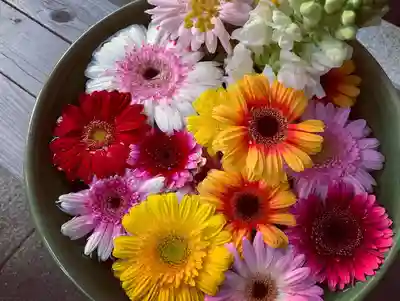 滑川神社 - 仕事と子どもの守り神の手水舎
