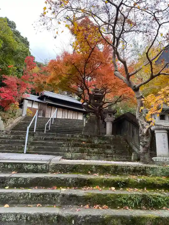 紅葉八幡宮(福岡県)