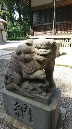 縣神社の狛犬