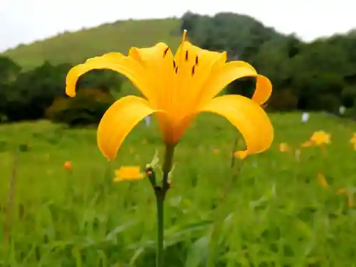 赤薙山神社の自然