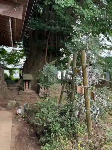 鹿嶋神社(茨城県)