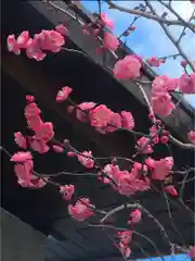 猿田彦神社の自然