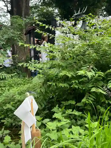田無神社(東京都)