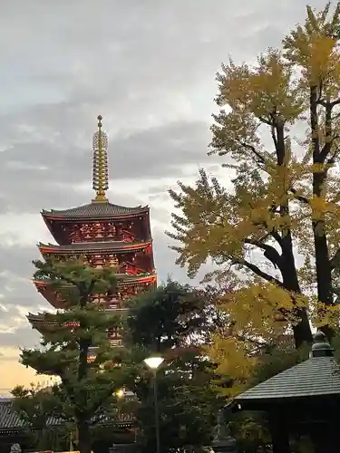 浅草寺(東京都)