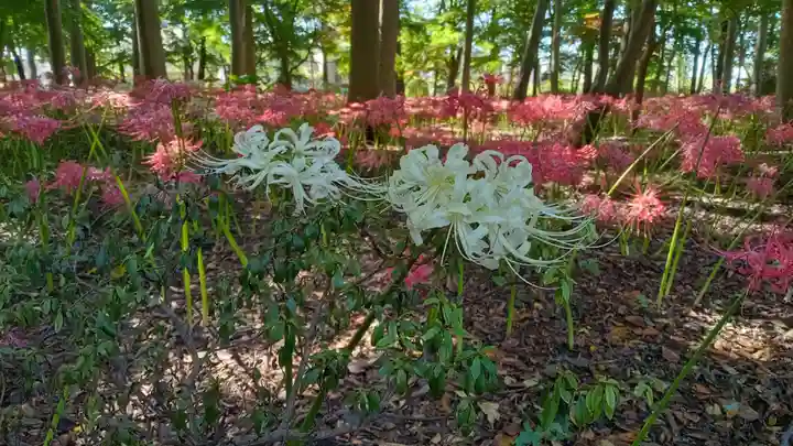祖光院(千葉県)