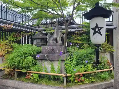 晴明神社の狛犬