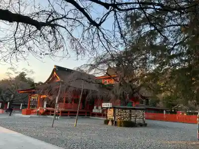 富士山本宮浅間大社(静岡県)