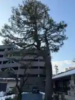 平岡野神社の{uncategorized: "未分類", other: "その他", undefined: "問題あり", building: "その他建物", grave: "お墓", sacred_gate: "鳥居", guardian: "狛犬", statue: "像", buddha: "仏像", history: "歴史", nature: "自然", garden: "庭園", animal: "動物", pagoda: "塔", temizu: "手水舎", mountain_gate: "山門・神門", sanctuary: "本殿・本堂", subordinate: "末社・摂社", art: "芸術", scenery: "景色", jizo: "地蔵", ema: "絵馬", goshuin: "御朱印", omikuji: "おみくじ", items: "授与品その他", amulet: "お守り", goshuincho: "御朱印帳", eats: "食事", festival: "お祭り", votive_dance: "神楽", shichigosan: "七五三参", wedding: "結婚式", experience: "体験その他", initially: "初詣", around: "周辺", anti_infection: "感染症対策"}