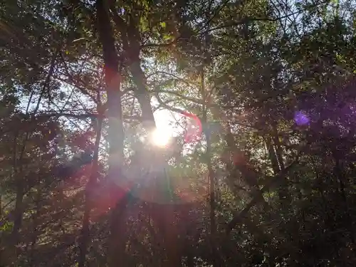 猿投神社　東の宮の自然