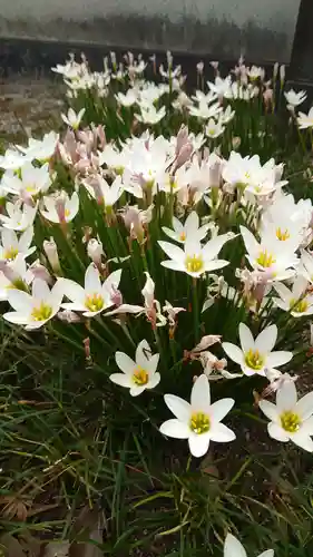 龍造寺八幡宮の自然