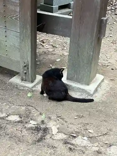 東雲神社(愛媛県)