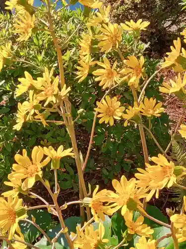 蓮華王院（三十三間堂）(京都府)