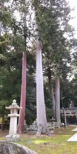 樹下神社(滋賀県)
