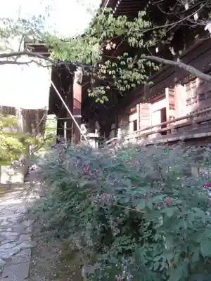 真正極楽寺(真如堂)の本殿・本堂