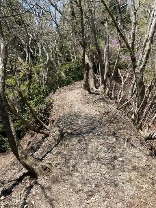 月輪寺(京都府)