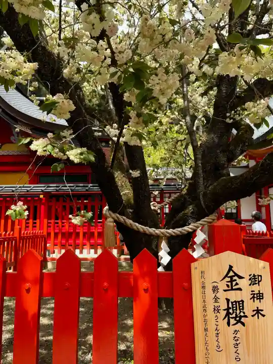 金櫻神社の{uncategorized: "未分類", other: "その他", undefined: "問題あり", building: "その他建物", grave: "お墓", sacred_gate: "鳥居", guardian: "狛犬", statue: "像", buddha: "仏像", history: "歴史", nature: "自然", garden: "庭園", animal: "動物", pagoda: "塔", temizu: "手水舎", mountain_gate: "山門・神門", sanctuary: "本殿・本堂", subordinate: "末社・摂社", art: "芸術", scenery: "景色", jizo: "地蔵", ema: "絵馬", goshuin: "御朱印", omikuji: "おみくじ", items: "授与品その他", amulet: "お守り", goshuincho: "御朱印帳", eats: "食事", festival: "お祭り", votive_dance: "神楽", shichigosan: "七五三参", wedding: "結婚式", experience: "体験その他", initially: "初詣", around: "周辺", anti_infection: "感染症対策"}