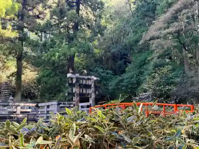 大谷寺の{uncategorized: "未分類", other: "その他", undefined: "問題あり", building: "その他建物", grave: "お墓", sacred_gate: "鳥居", guardian: "狛犬", statue: "像", buddha: "仏像", history: "歴史", nature: "自然", garden: "庭園", animal: "動物", pagoda: "塔", temizu: "手水舎", mountain_gate: "山門・神門", sanctuary: "本殿・本堂", subordinate: "末社・摂社", art: "芸術", scenery: "景色", jizo: "地蔵", ema: "絵馬", goshuin: "御朱印", omikuji: "おみくじ", items: "授与品その他", amulet: "お守り", goshuincho: "御朱印帳", eats: "食事", festival: "お祭り", votive_dance: "神楽", shichigosan: "七五三参", wedding: "結婚式", experience: "体験その他", initially: "初詣", around: "周辺", anti_infection: "感染症対策"}