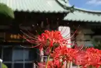 宗隆寺の自然