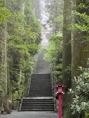 箱根神社(神奈川県)