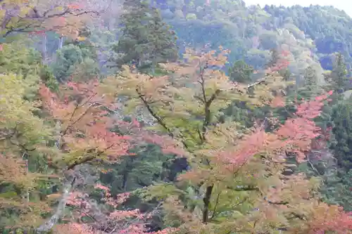 鞍馬寺(京都府)