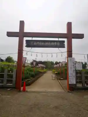 箭弓稲荷神社の{uncategorized: "未分類", other: "その他", undefined: "問題あり", building: "その他建物", grave: "お墓", sacred_gate: "鳥居", guardian: "狛犬", statue: "像", buddha: "仏像", history: "歴史", nature: "自然", garden: "庭園", animal: "動物", pagoda: "塔", temizu: "手水舎", mountain_gate: "山門・神門", sanctuary: "本殿・本堂", subordinate: "末社・摂社", art: "芸術", scenery: "景色", jizo: "地蔵", ema: "絵馬", goshuin: "御朱印", omikuji: "おみくじ", items: "授与品その他", amulet: "お守り", goshuincho: "御朱印帳", eats: "食事", festival: "お祭り", votive_dance: "神楽", shichigosan: "七五三参", wedding: "結婚式", experience: "体験その他", initially: "初詣", around: "周辺", anti_infection: "感染症対策"}