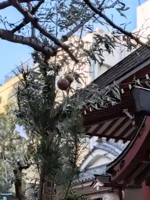 秋葉神社(東京都)