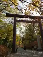 北海道神宮の鳥居