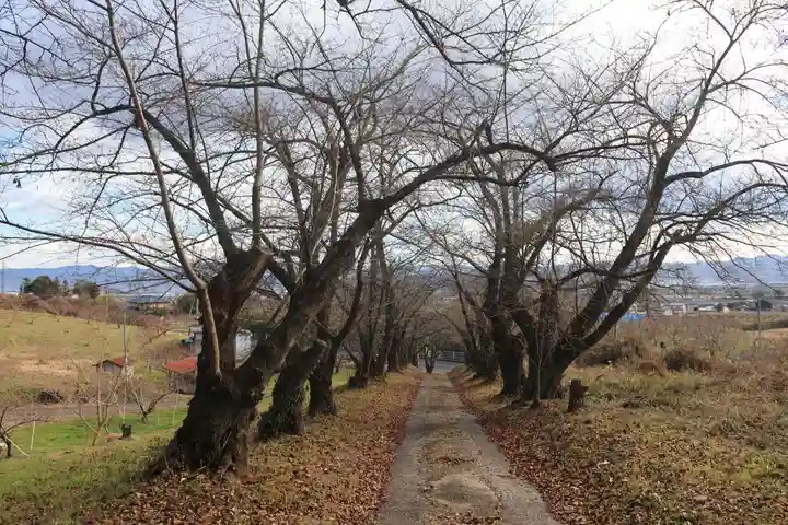 橿原神社の景色