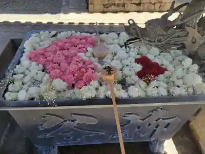 柳谷観音 楊谷寺の手水舎