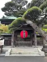 長谷寺(神奈川県)