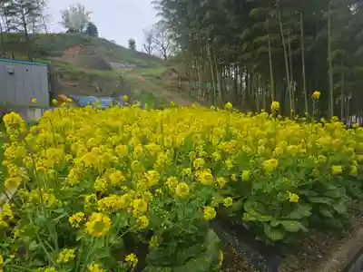 一音寺(京都府)