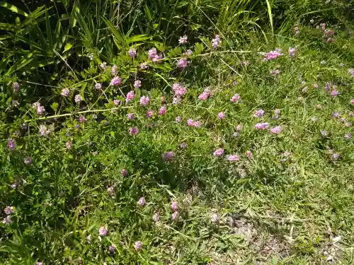 木華佐久耶比咩神社の自然