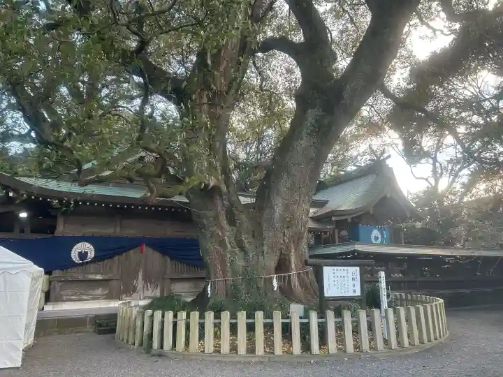 春日神社の{uncategorized: "未分類", other: "その他", undefined: "問題あり", building: "その他建物", grave: "お墓", sacred_gate: "鳥居", guardian: "狛犬", statue: "像", buddha: "仏像", history: "歴史", nature: "自然", garden: "庭園", animal: "動物", pagoda: "塔", temizu: "手水舎", mountain_gate: "山門・神門", sanctuary: "本殿・本堂", subordinate: "末社・摂社", art: "芸術", scenery: "景色", jizo: "地蔵", ema: "絵馬", goshuin: "御朱印", omikuji: "おみくじ", items: "授与品その他", amulet: "お守り", goshuincho: "御朱印帳", eats: "食事", festival: "お祭り", votive_dance: "神楽", shichigosan: "七五三参", wedding: "結婚式", experience: "体験その他", initially: "初詣", around: "周辺", anti_infection: "感染症対策"}