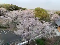 長谷寺の自然