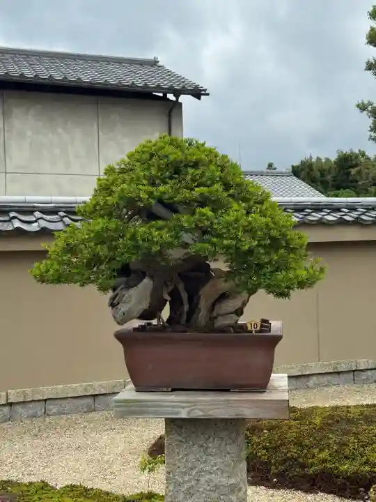 芳春院(京都府)