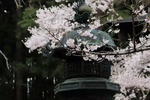 土津神社｜こどもと出世の神さまのその他建物