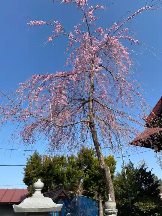 大鏑神社の自然