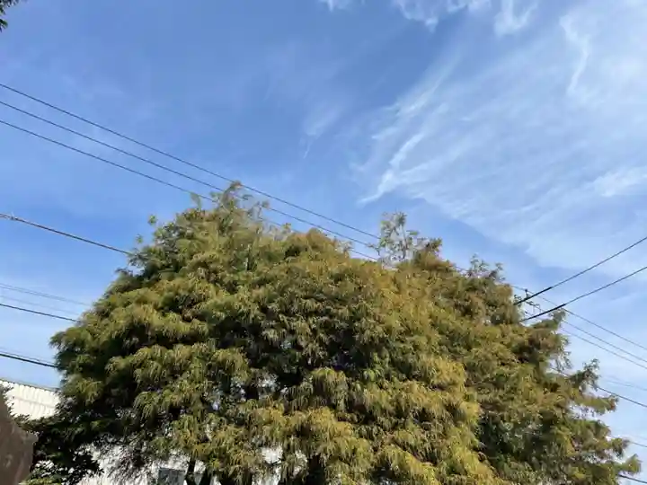 日々神社の自然