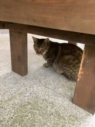 玉野御嶽神社の動物