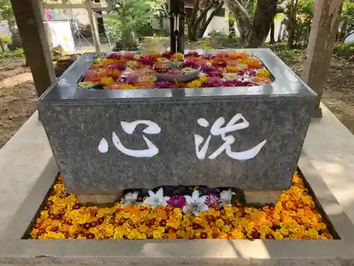 坂本八幡神社の手水舎