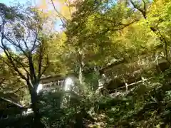 志明院（金光峯寺）(京都府)