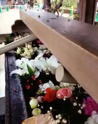 鳩森八幡神社(東京都)