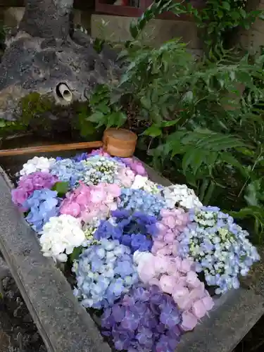 本郷氷川神社(東京都)