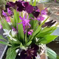 高司神社〜むすびの神の鎮まる社〜(福島県)