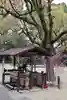 諫早神社(九州総守護 四面宮)(長崎県)