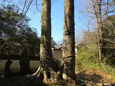 妻沼聖天山歓喜院のその他建物