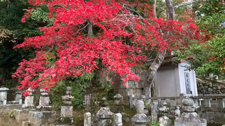 二尊院(京都府)