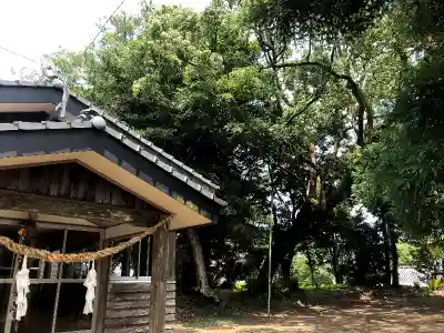 伊比井神社の本殿・本堂