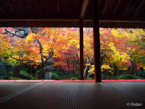 圓光寺(京都府)