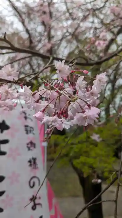 松ヶ崎大黒天 妙圓寺(妙円寺)(京都府)